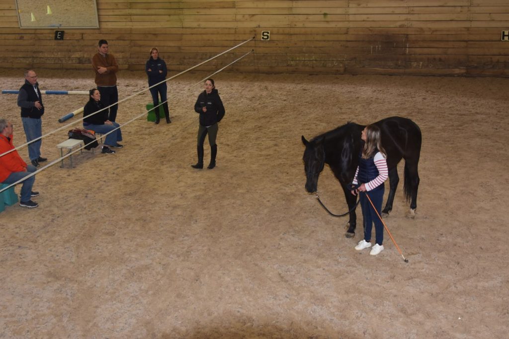 equicoaching cheval