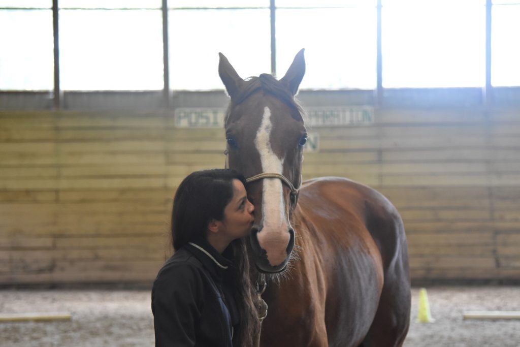 equicoaching cheval travail manege amour femme bisou sur museau